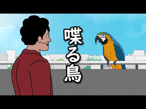 【アニメ】自宅ベランダに喋る鳥とまってたやつｗｗｗｗｗｗｗｗｗｗｗｗｗｗ