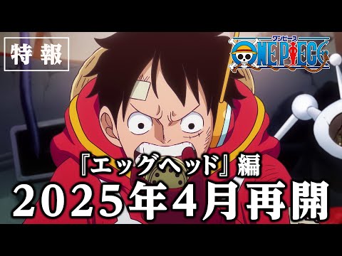 ＜特報＞アニメ「ONE PIECE」エッグヘッド編