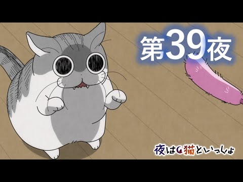 アニメ『夜は猫といっしょ』第39夜「新しいネコじゃらし」