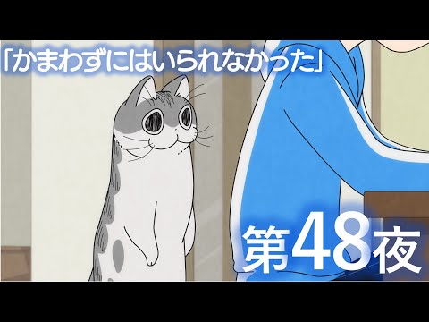 アニメ『夜は猫といっしょ』第48夜「かまわずにはいられなかった」