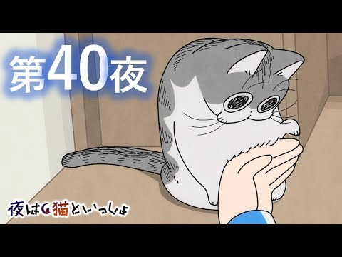 アニメ『夜は猫といっしょ』第40夜「ネコのジャマを阻止したい」